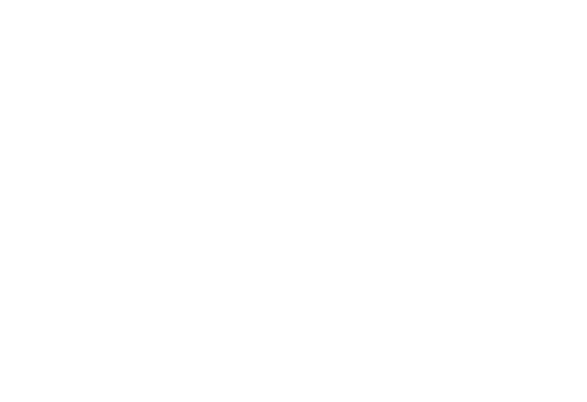 Elemental Fest 2023